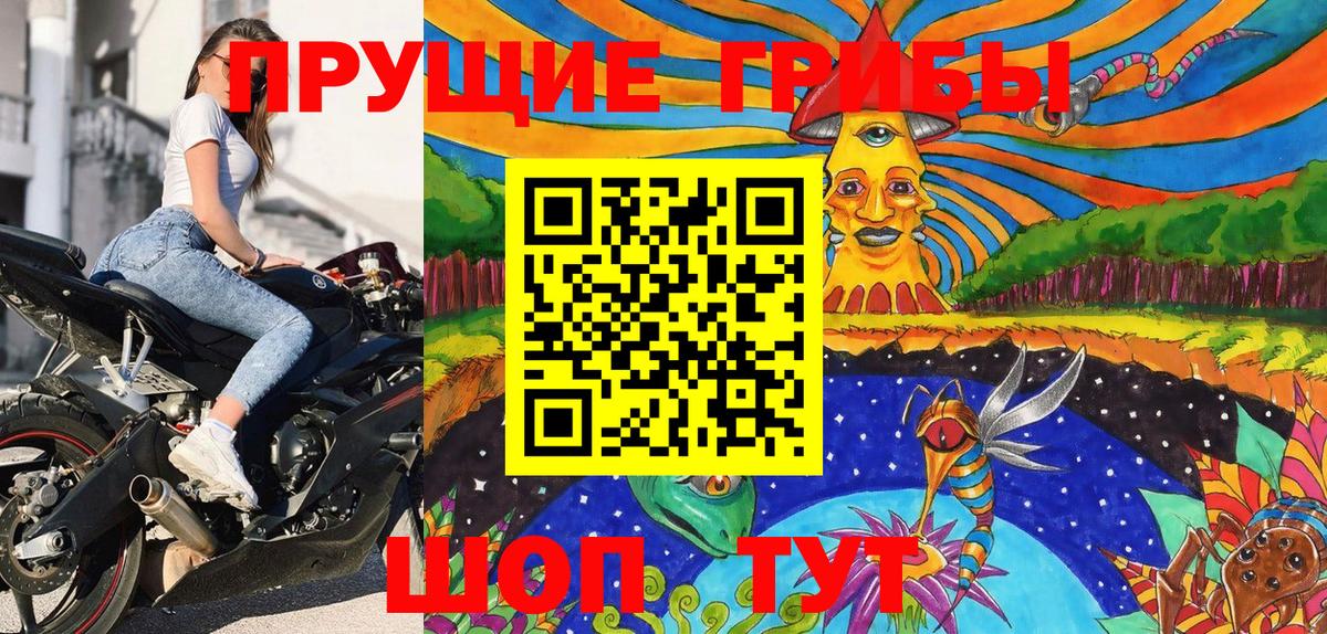 Псилоцибиновые грибы мицелий  Псилоцибиновые грибы Psilocybe  Уварово 